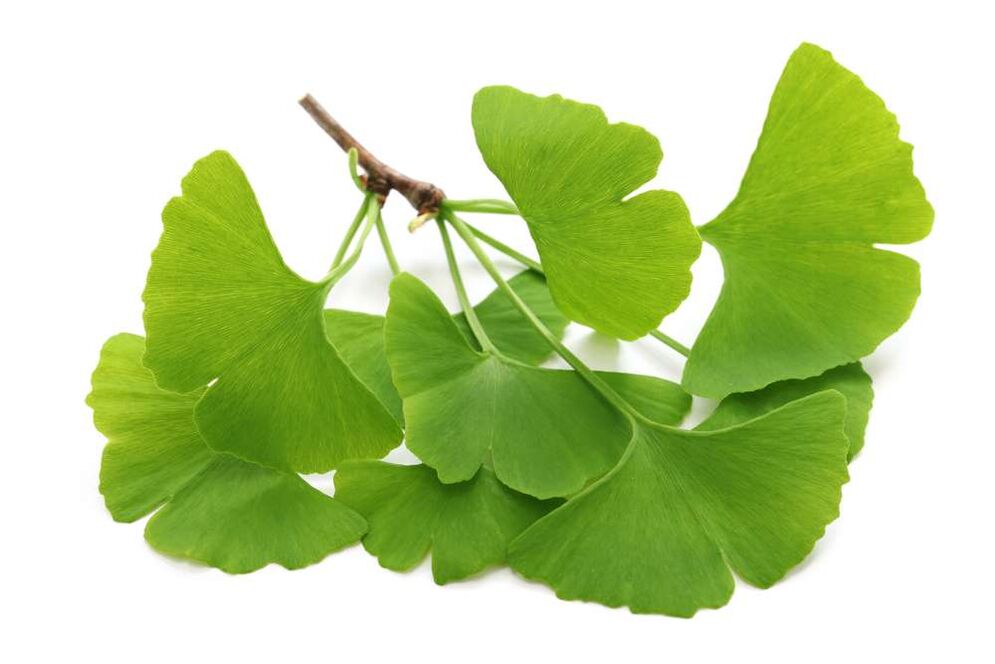 Ginkgo biloba in capsules Glucoren